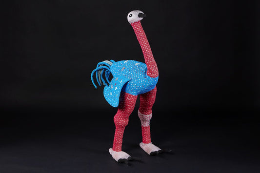 Ostrich-174-1_1.jpg